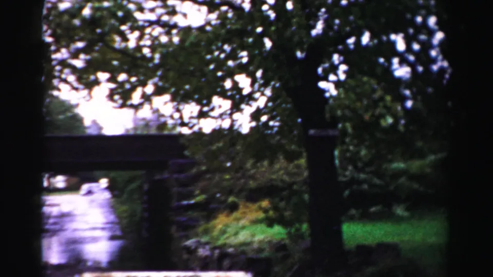 1956 Albany frame showing a barricaded wet roadway or path beside trees, grass, and a low bridge near high water.