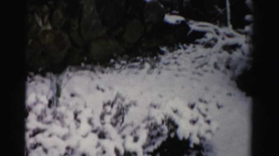 A lower portion of the snowy Albany landscape shows ground cover, tree trunks, and the stone wall on 8mm film.