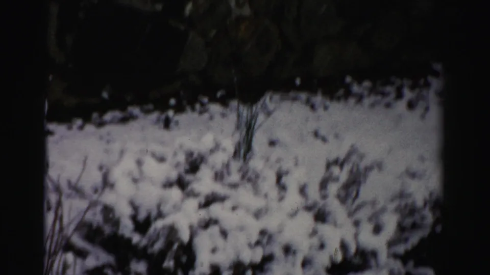 The final frame shows snowy shrubs and dark winter trees in the Albany home-movie landscape.