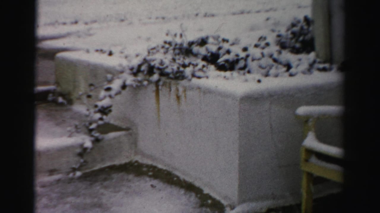 Concrete planter wall, steps, and snow-covered bushes in a yard.