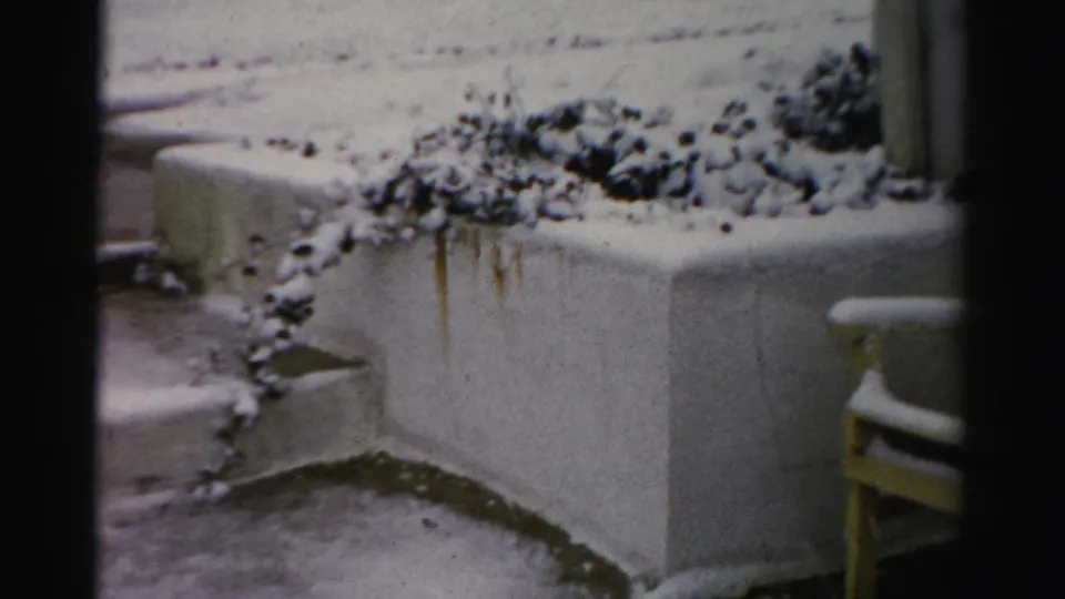 1956 Albany 8mm frame with a concrete planter wall, nearby steps, and snow resting on bushes above the wall.