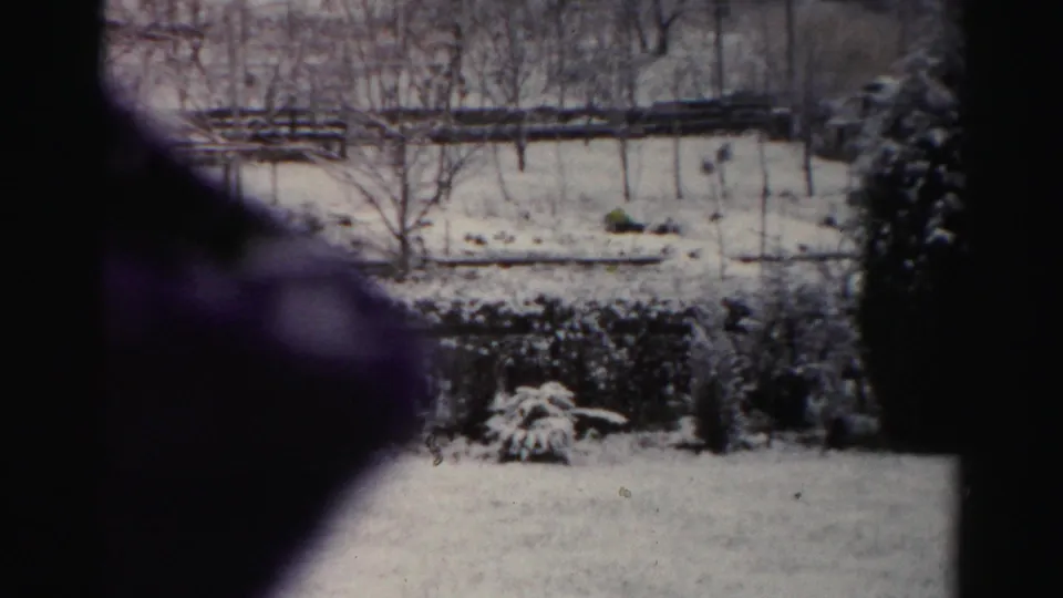 1956 Albany 8mm frame looking across a snowy yard toward bare trees, a wooden fence, and dark shrubs.