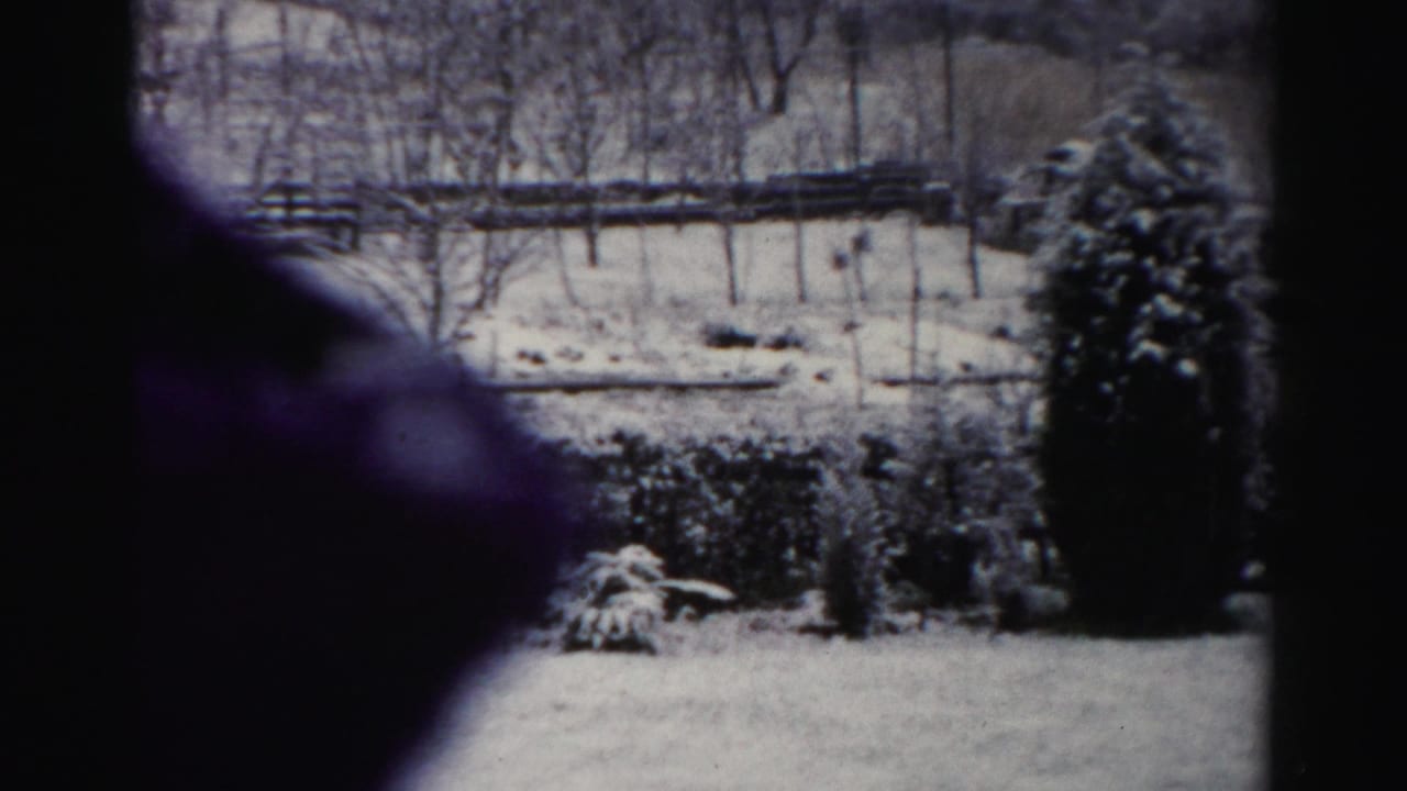 1956 Albany-area 8mm frame showing a snow-covered yard with evergreens, wooden fencing, bare trees, and a dark window-side foreground shape.