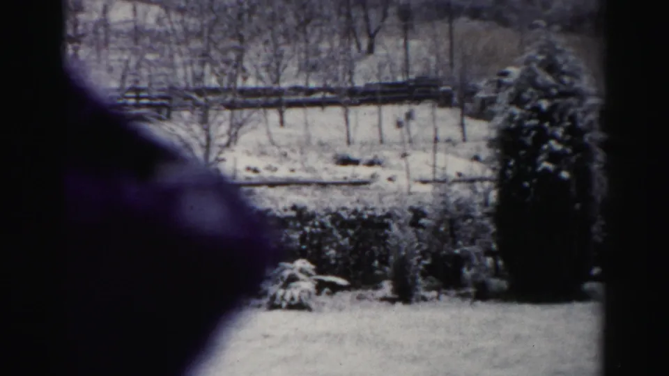 1956 Albany-area 8mm frame showing a snow-covered yard with evergreens, wooden fencing, bare trees, and a dark window-side foreground shape.