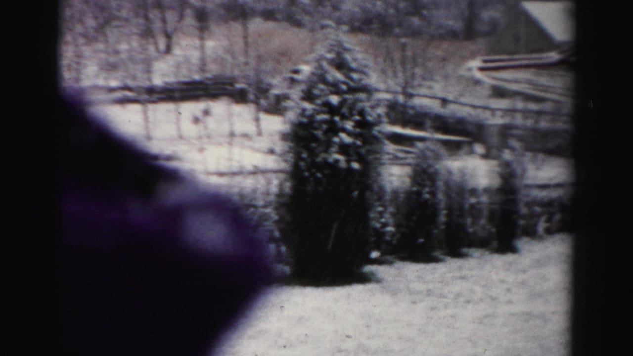 1956 Albany-area winter view across a snowy yard toward evergreens, a wood fence, bare trees, and part of a barn or shed roof.