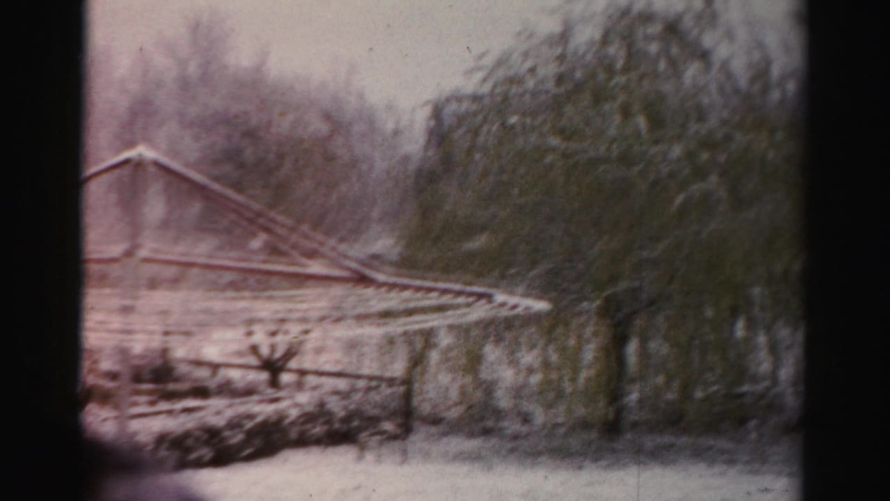 Snow-covered yard with clothesline, trees, and soft window-framed edges.
