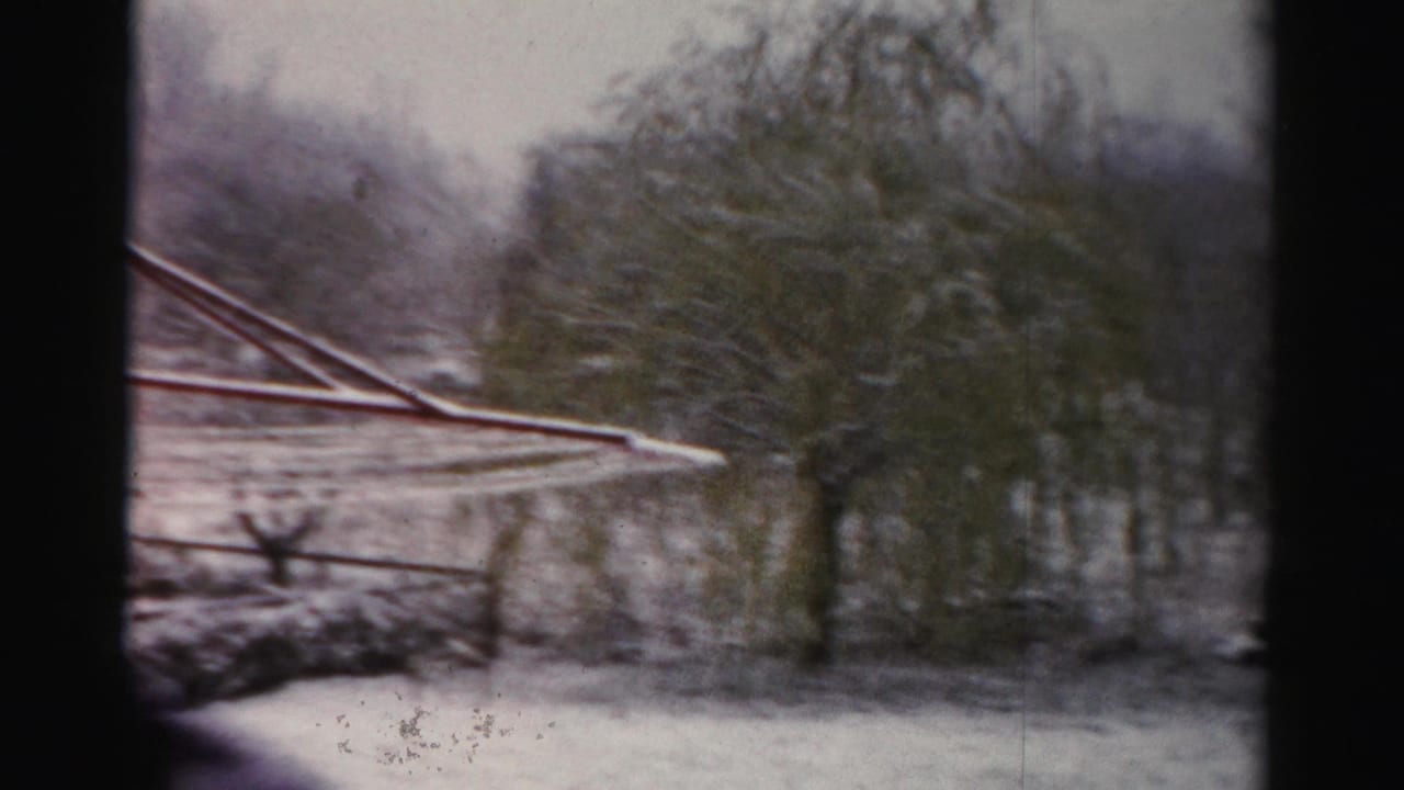 Home-movie view of a snow-covered Albany yard, with the clothesline partly cropped and leafless trees in the background.