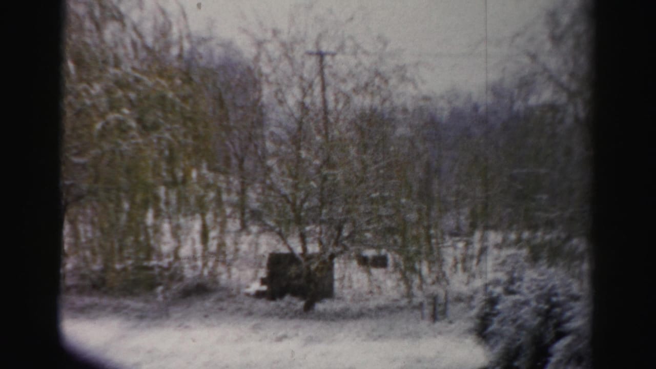 Late frame of the Albany winter yard, showing snowy trees, a small shed or outbuilding, and a utility pole.