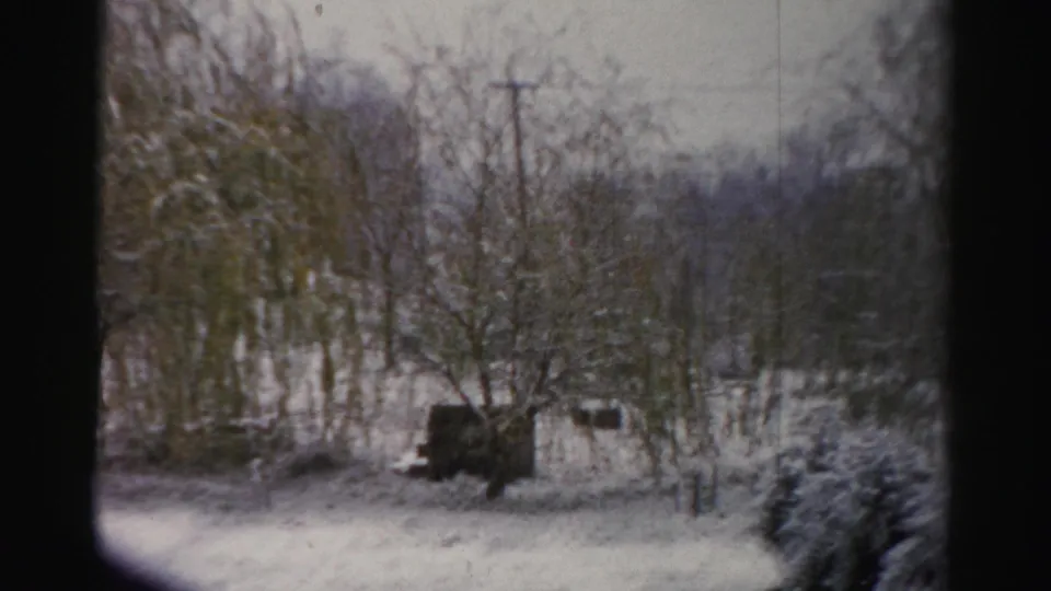 Late frame of the Albany winter yard, showing snowy trees, a small shed or outbuilding, and a utility pole.