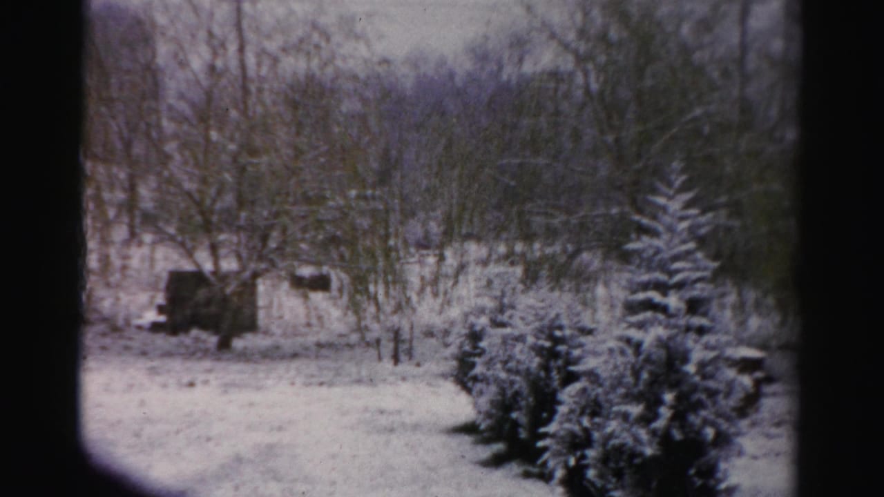 Snow-covered wooded yard from the 1956 Albany-area home movie, with evergreens in the foreground and a dark object near the trees.