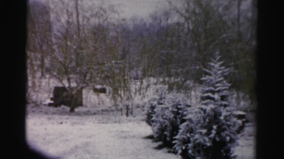 Snow-covered wooded yard from the 1956 Albany-area home movie, with evergreens in the foreground and a dark object near the trees.