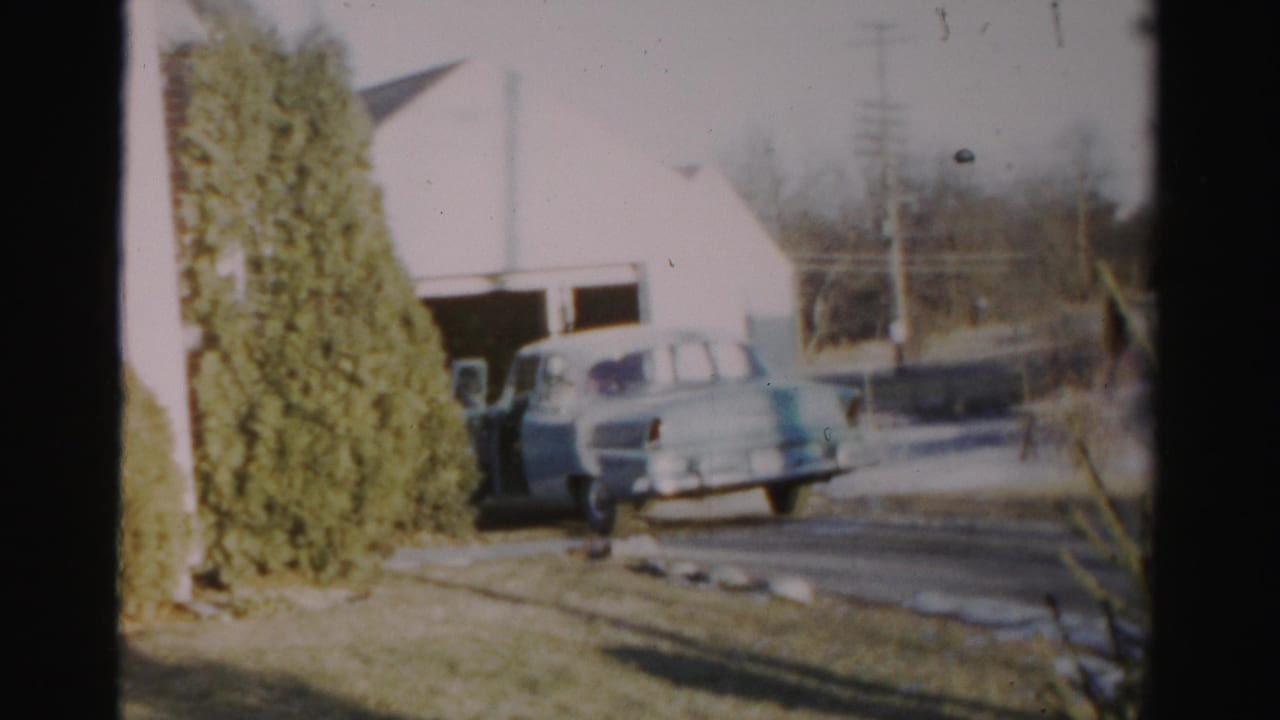Light blue car angled in a driveway near a garage and roadside shrubs.