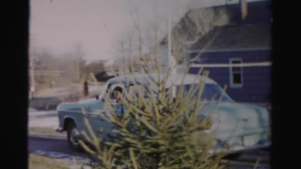 The sedan moves past an evergreen shrub in a residential Albany setting, with a blue-purple house and bare trees in view.