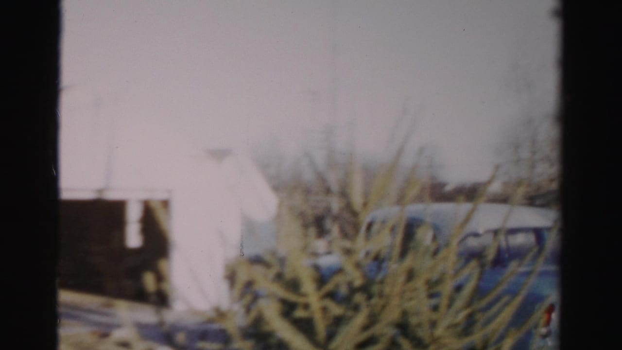 Blue sedan approaching a white garage area beside an evergreen tree.