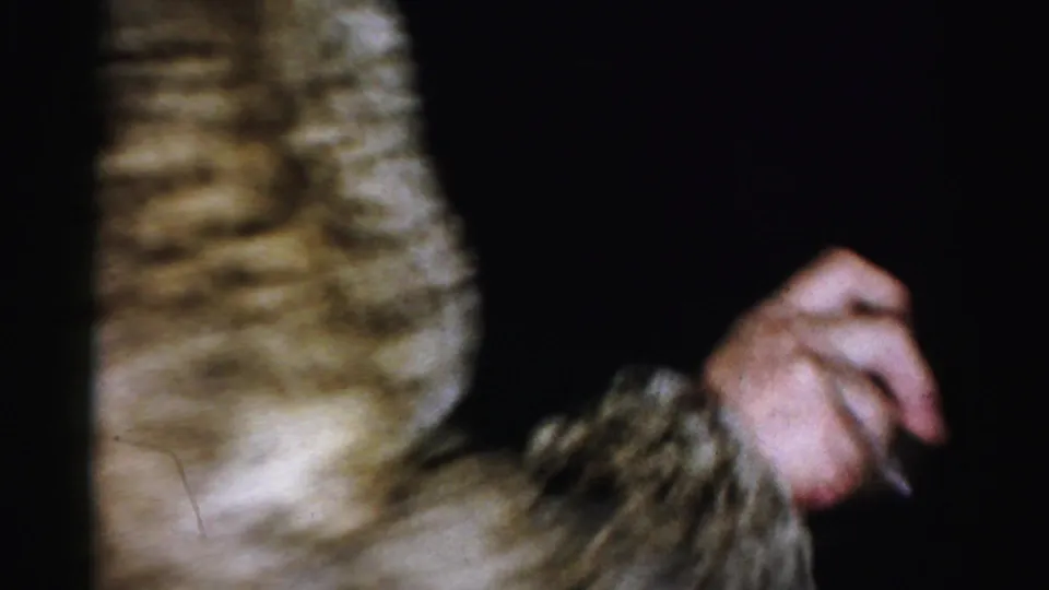 Brief 1956 Albany home-movie glimpse of a person's patterned sleeve and hand in a dim private interior.