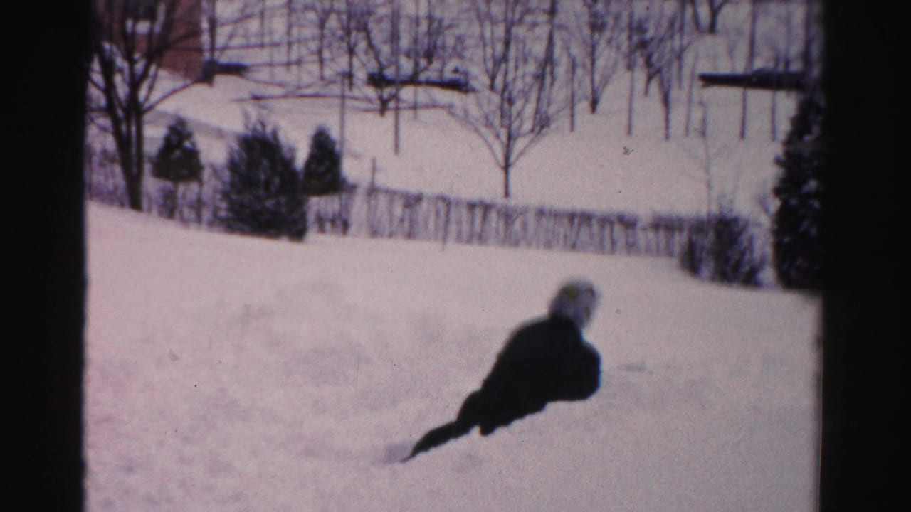 Woman in a dark coat is partly down in deep snow near the center of a snowy yard.