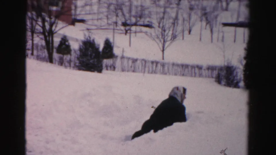 In the snowy Albany yard, the woman remains low in the snow after slipping, with winter trees and a fence in the background.