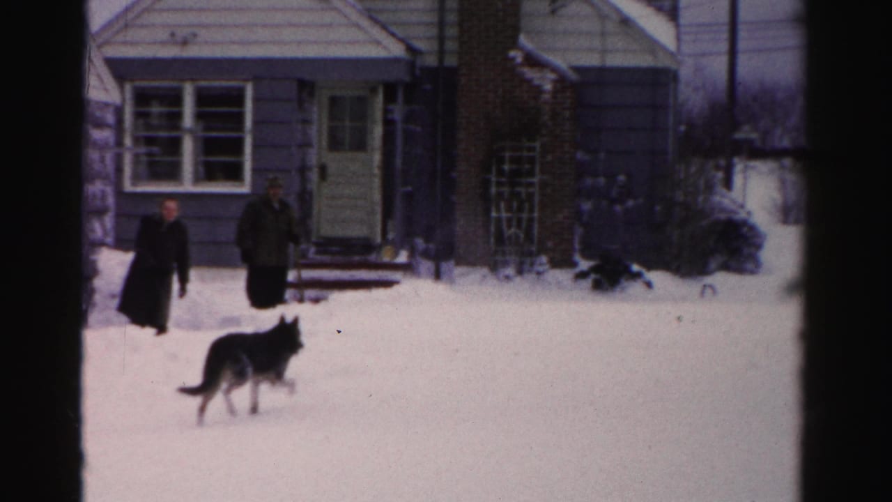 Two adults in heavy winter coats stand with a large dark dog in a deep snow-covered front yard; mid-1950s Albany, New York suburban home visible in background.