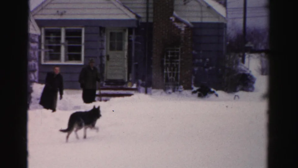 Two adults in heavy winter coats stand with a large dark dog in a deep snow-covered front yard; mid-1950s Albany, New York suburban home visible in background.