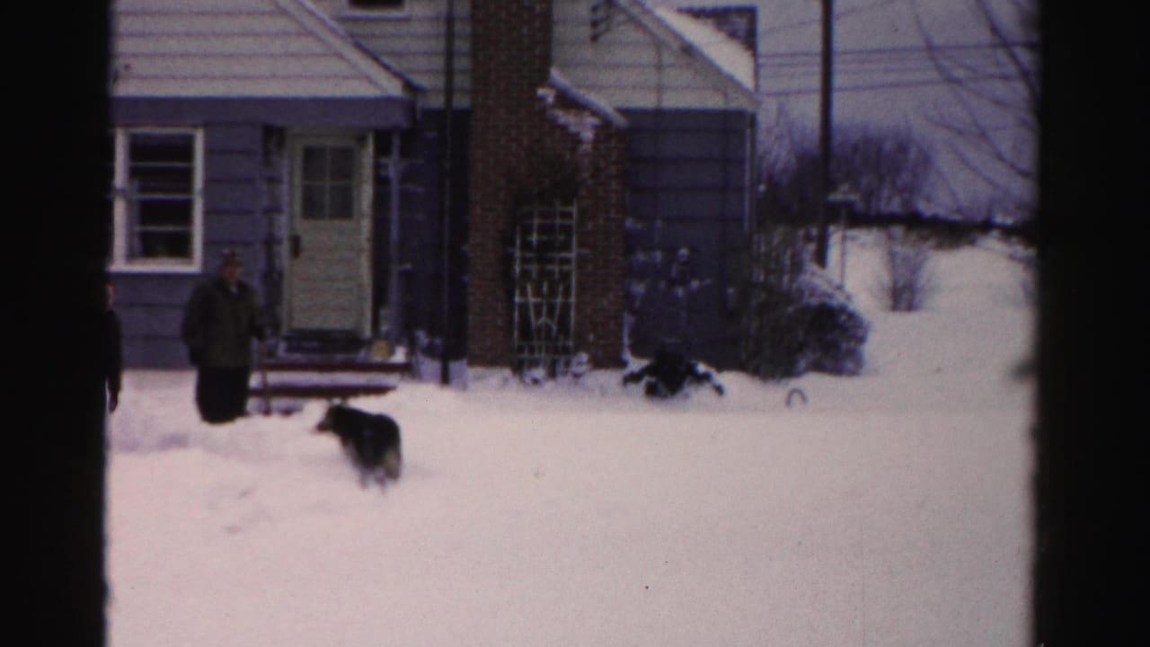 Adult in heavy winter coat stands in deep snow as a large dark dog moves nearby; mid-1950s suburban residential house with brick chimney visible in background.