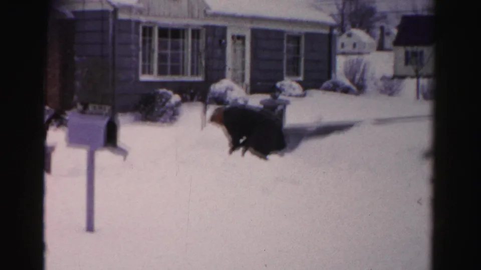 Man shoveling snow in residential front yard; curbside mailbox post and mid-century ranch homes visible; Albany, New York area, circa mid-1950s 8mm home movie.