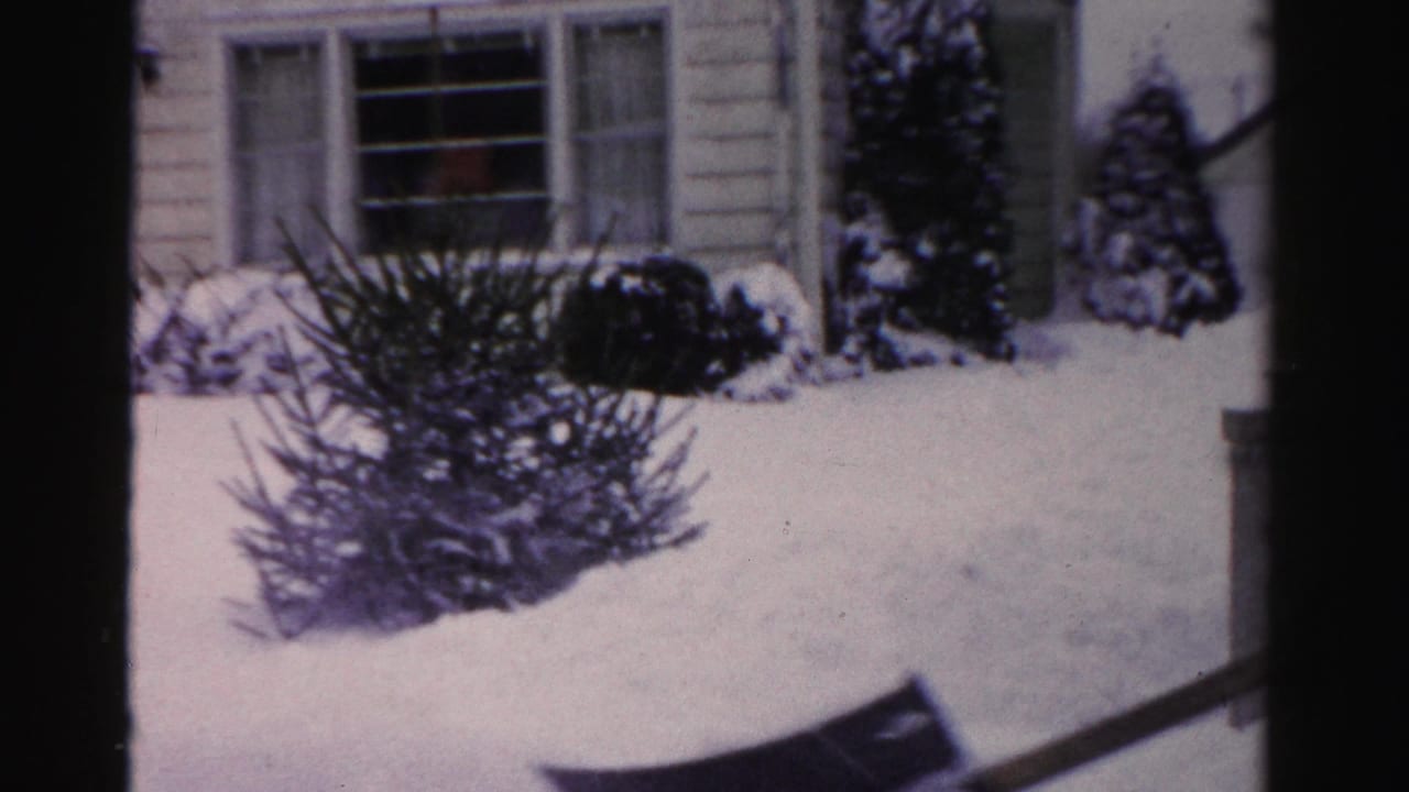 8mm home movie frame from a mid-1950s Albany, New York residential yard; snow-laden evergreen bushes and house facade, shovel blade in foreground.