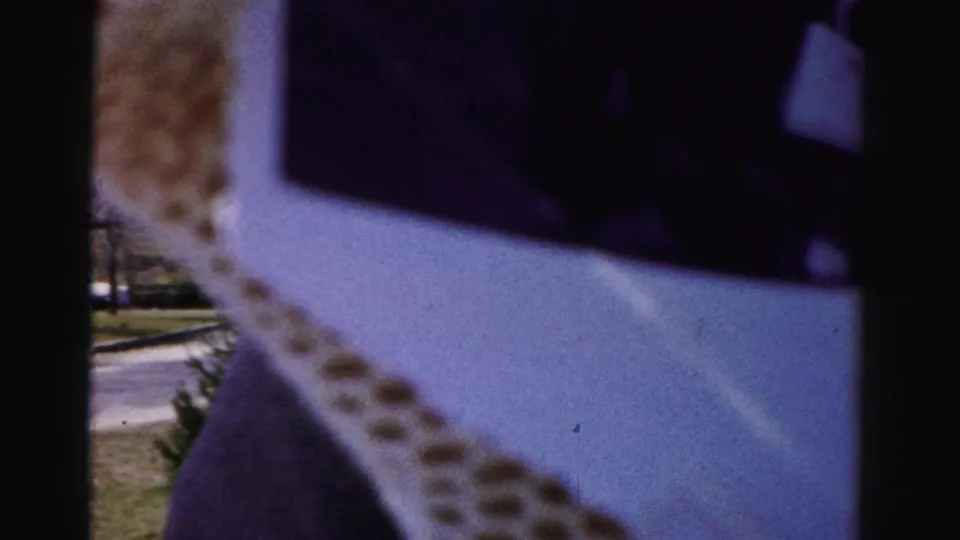 Extreme close-up of a 1950s-era automobile's exterior, showing white painted bodywork and a decorative chrome trim strip; low shrubs are visible at the bottom edge, suggesting the camera panned to the nearby parked vehicle.