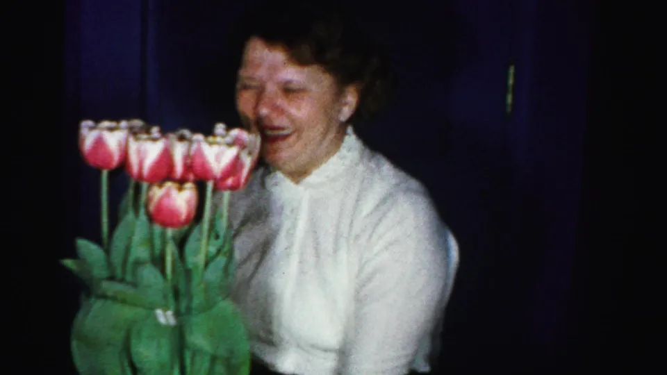 Mid-1950s 8mm frame of a smiling woman in a white sweater holding pink tulips against a deep blue wall, candid domestic moment, likely Albany, New York.