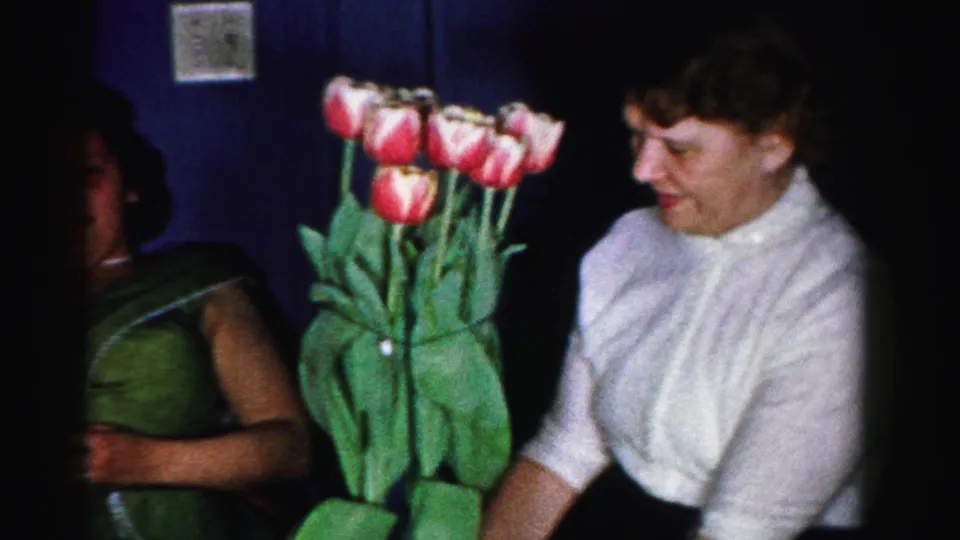 Two mid-1950s women interact with a large bouquet of pink and white tulips in a dark domestic interior, 8mm home movie, Albany, New York, c.1956.