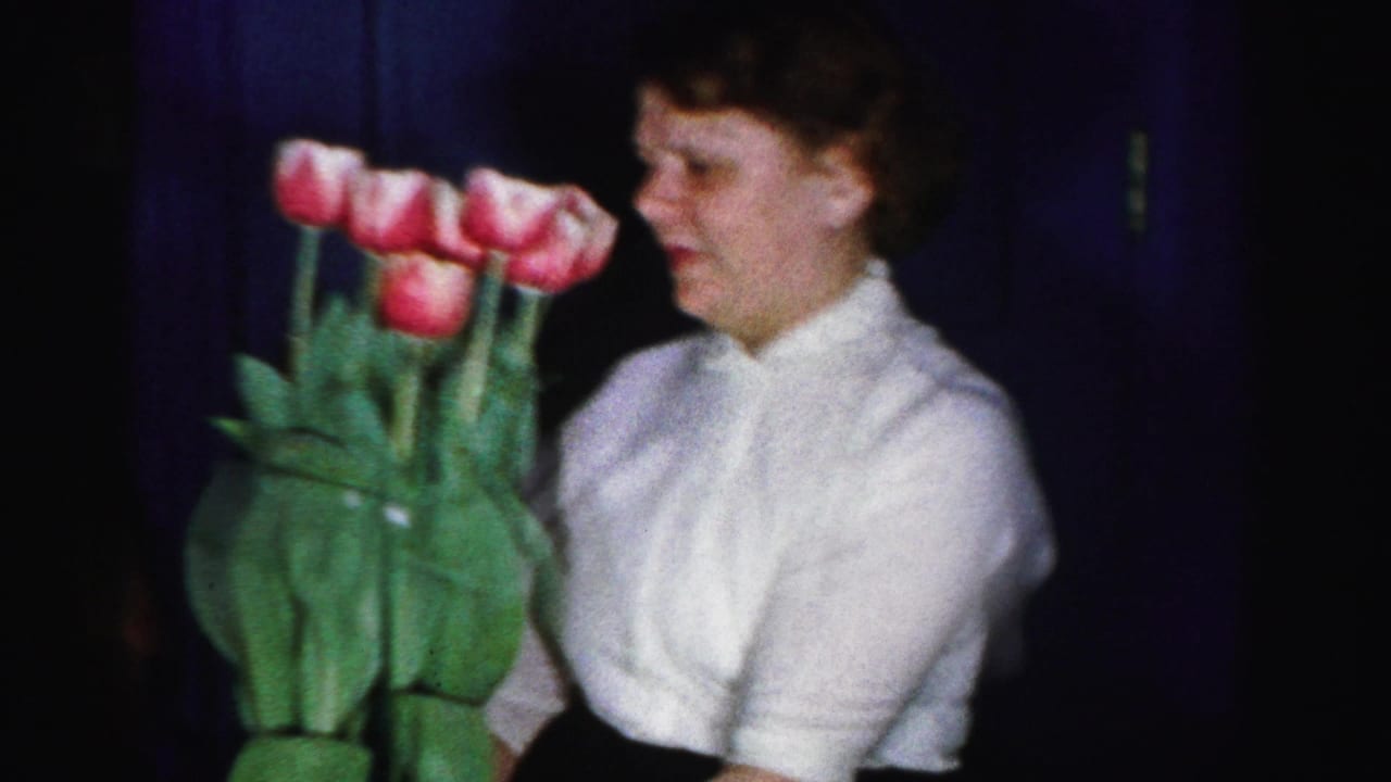 Woman in white blouse shown in profile beside a large bouquet of pink and red tulips with green foliage; dark blue background, 8mm color film.
