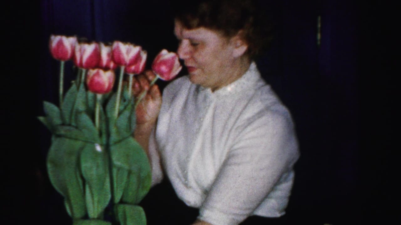Woman in white knit blouse leaning close to a tall bouquet of pink tulips against a dark background.