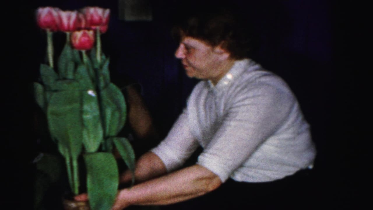 Woman in a white blouse arranging tall pink tulips in profile view, consistent with a mid-1950s domestic home setting.