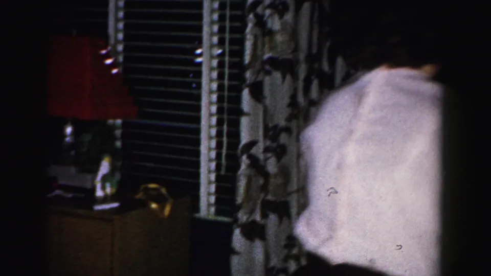 Woman seen from behind near slatted curtains and a red accent lamp, with wooden furniture visible, consistent with a mid-1950s domestic interior.