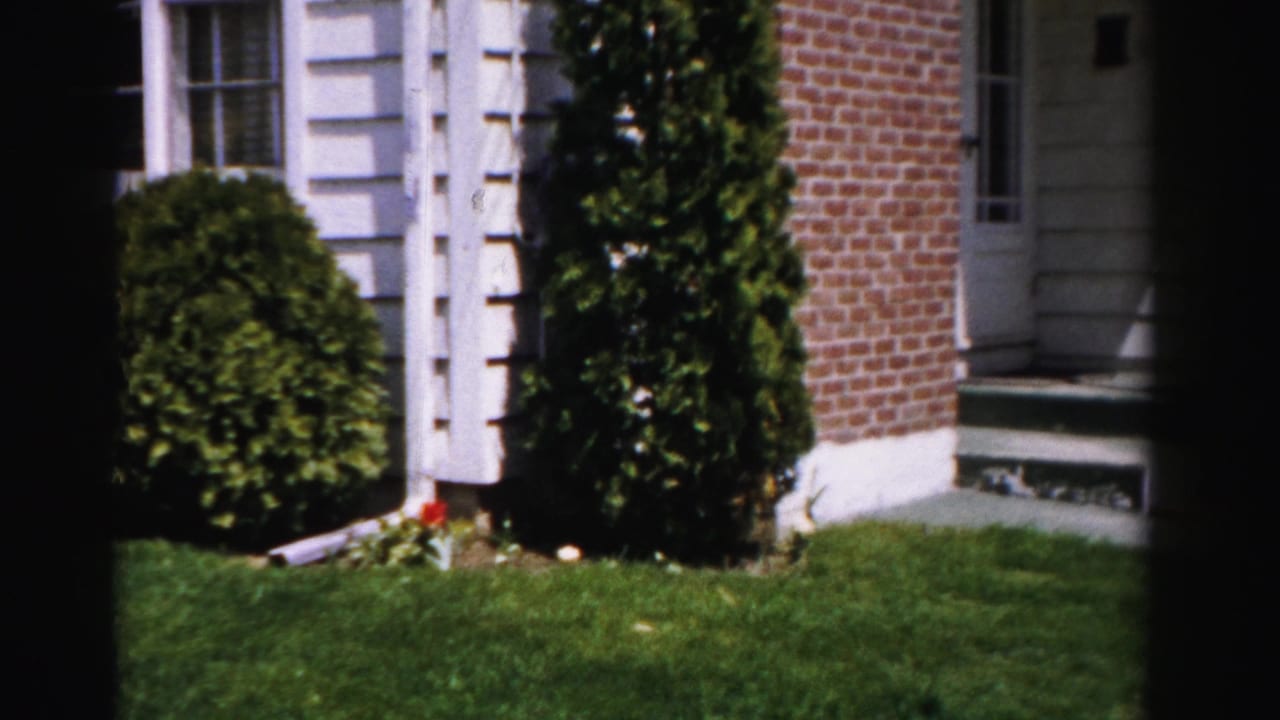 Front yard of a white-sided brick-accented house with tall columnar evergreens, a rounded shrub, front steps, and red border flowers.