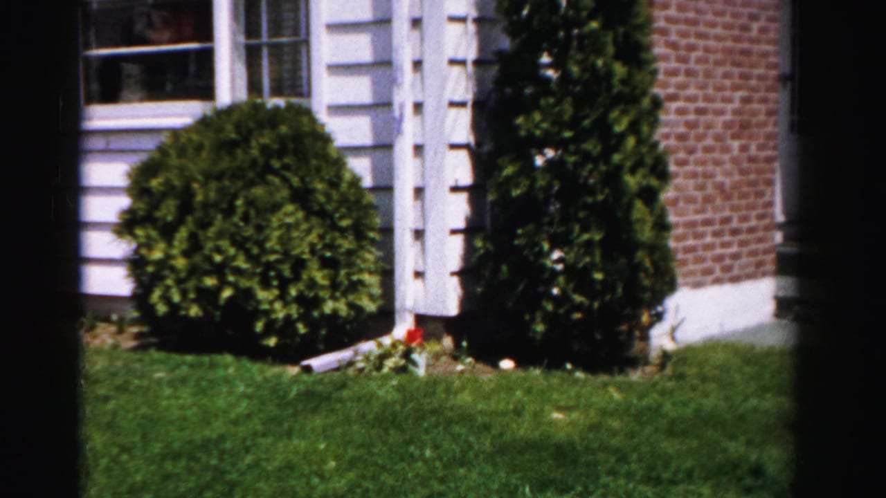8mm home movie frame, c.1955–56, showing a suburban home facade with a globe-trimmed shrub and columnar evergreen flanking the entrance, Albany, New York.