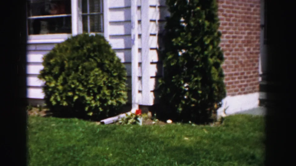 8mm home movie frame, c.1955–56, showing a suburban home facade with a globe-trimmed shrub and columnar evergreen flanking the entrance, Albany, New York.