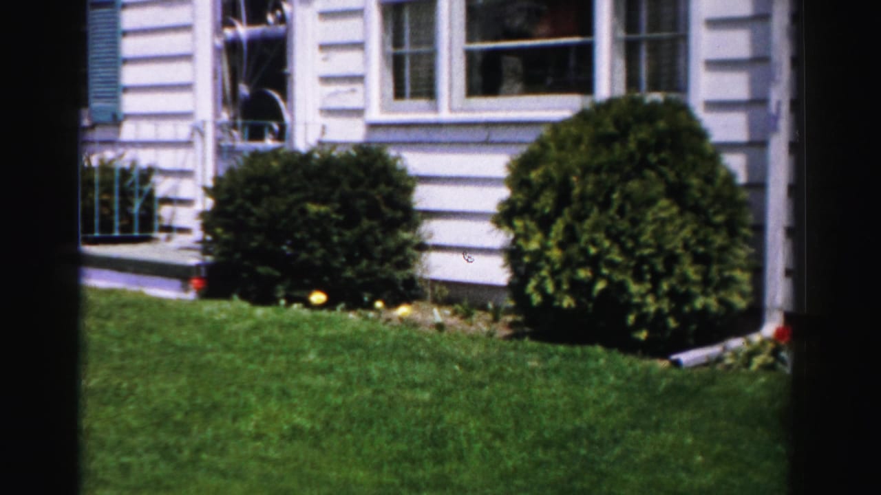 White clapboard house with teal shutters, trimmed spherical shrubs, and a flower garden along a green lawn.