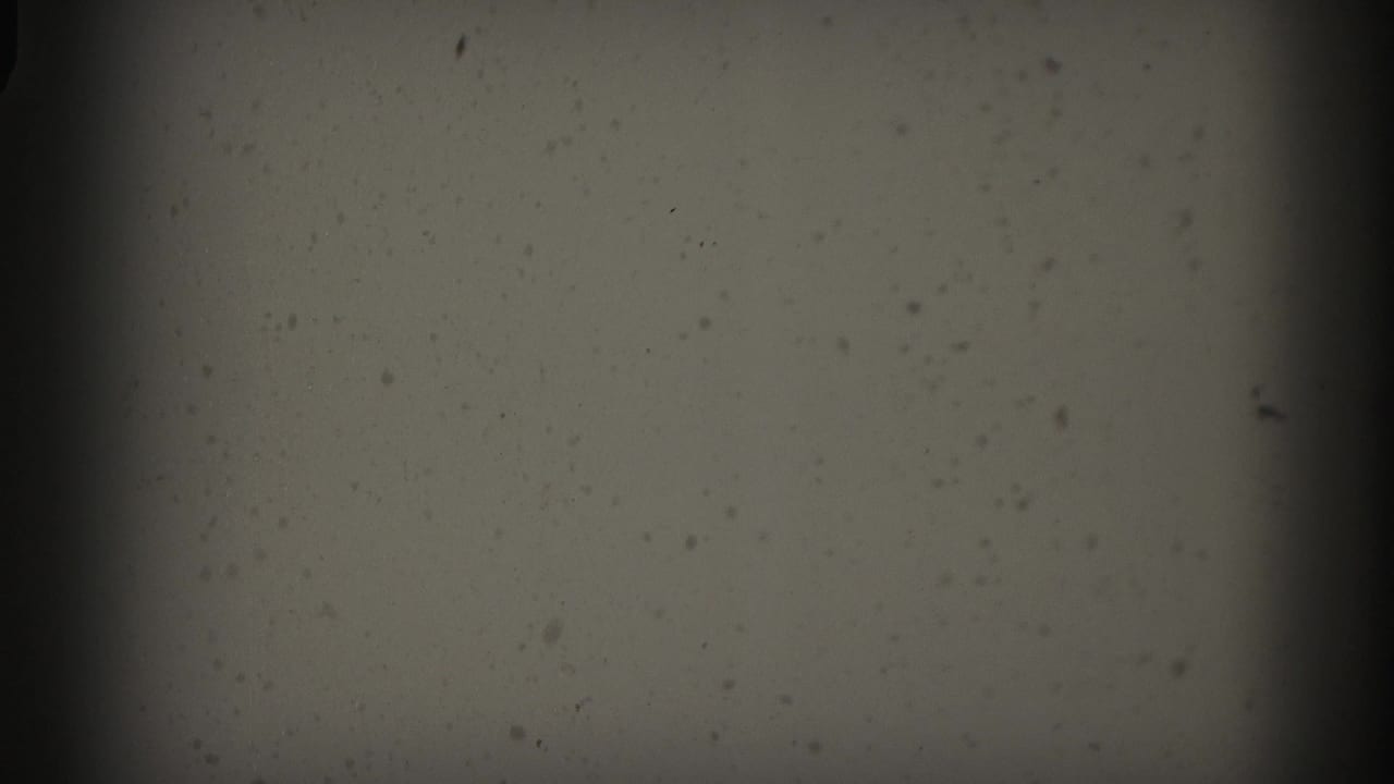 8mm film frame circa mid-1950s showing a pale, nearly uniform field — likely an overexposed television screen — with film grain and gate vignetting.