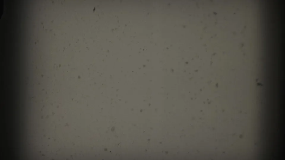 8mm film frame circa mid-1950s showing a pale, nearly uniform field — likely an overexposed television screen — with film grain and gate vignetting.