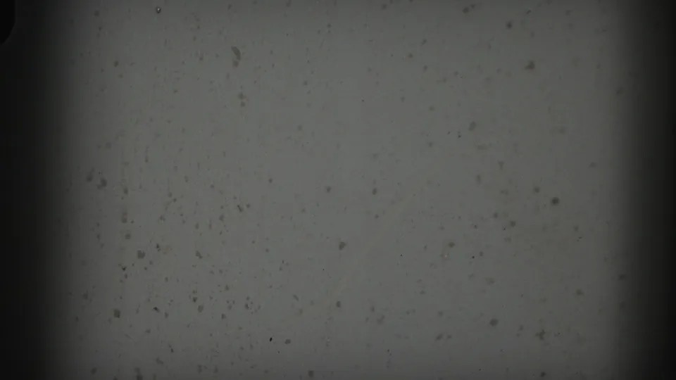8mm film frame circa mid-1950s showing a nearly uniform pale field with film grain and pronounced dark vignetting at all edges.