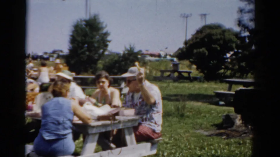 Wide view of a summer picnic gathering in a public park, circa 1957, Catskill area, New York; groups at stone and wooden picnic tables, late-1950s automobiles parked behind.