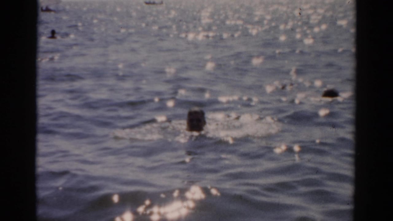 Multiple swimmers visible as heads and small figures scattered across sun-sparkled ocean water.