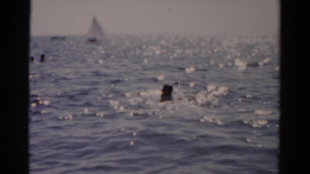 Swimmers in sun-dappled open water with a sailboat in the far distance; shot on 8mm film.
