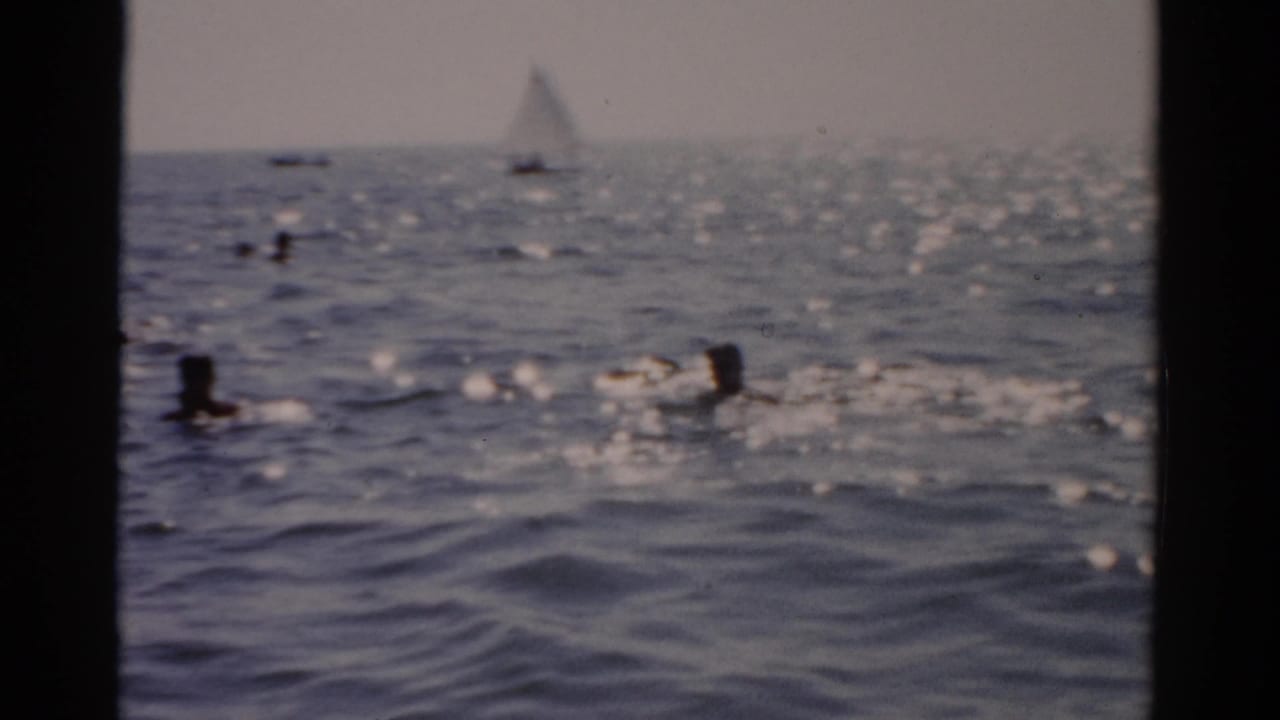 Swimmers in choppy open water with strong sun reflections; small sailboat visible in the upper right.