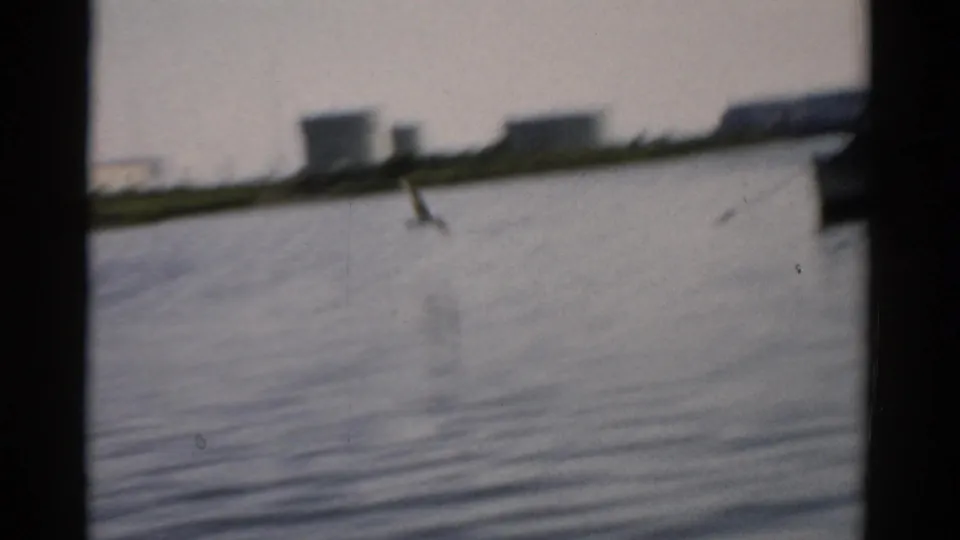 A bird skims calm river water with warehouse-like buildings on the far shore, 8mm home movie footage circa 1957, Catskill, New York.