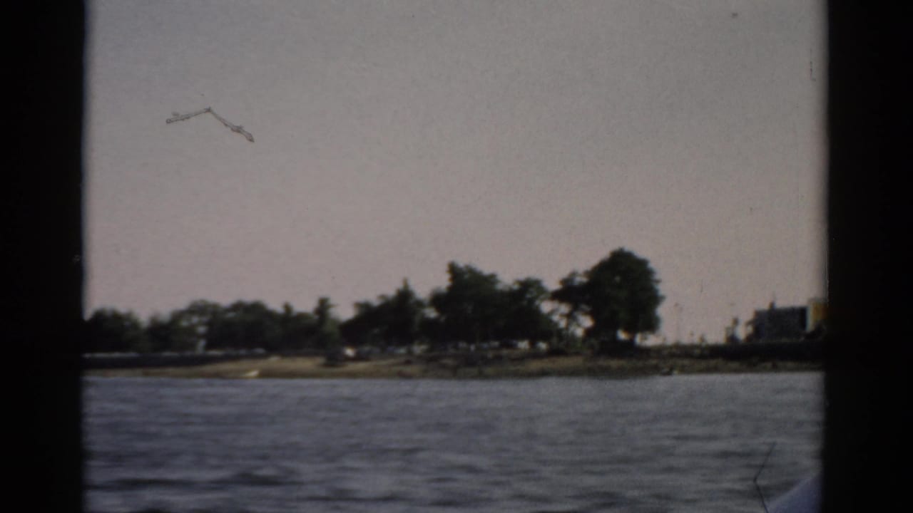 Same man in white shirt and dark cap looking toward camera, white wake churning behind him, flat tree-lined shore in background.