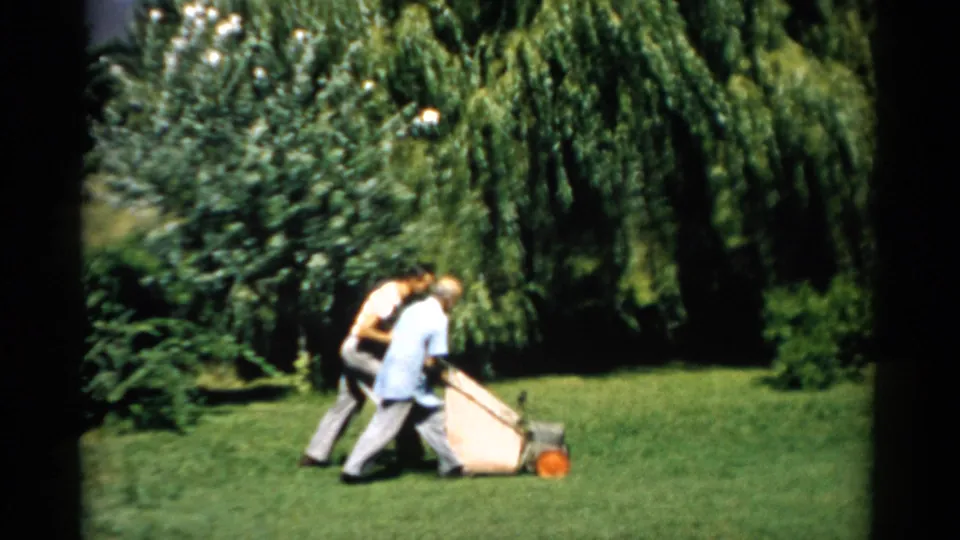 A man and younger companion push a lawnmower across a sunlit lawn beside a large ornamental tree, consistent with late-1950s suburban domestic life, Catskill, New York.