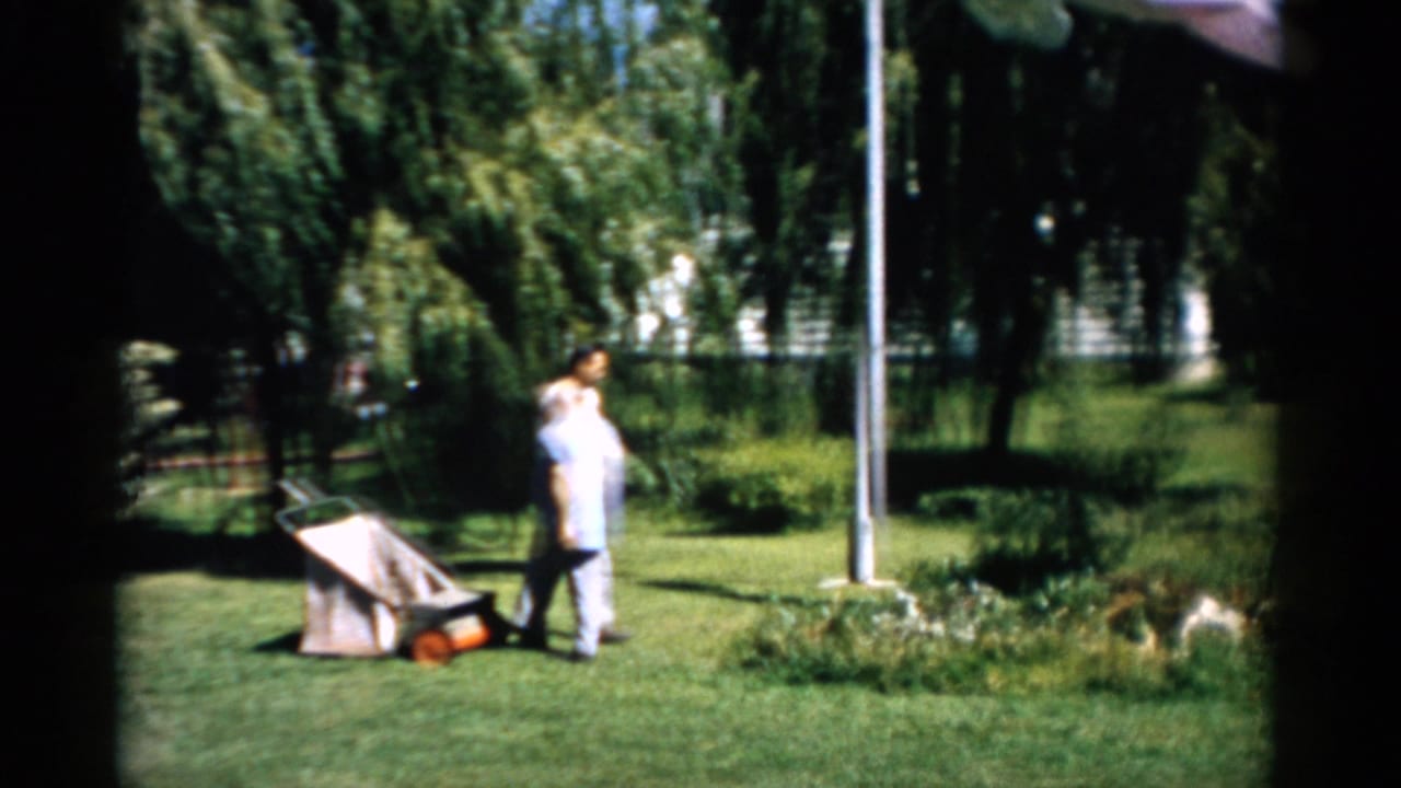 Man pushes a vintage lawnmower across a well-kept sunny lawn, Catskill, New York, 1957; weeping willow and mixed trees visible behind.
