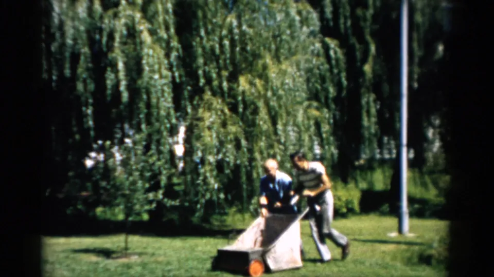 Two men work together pushing a vintage lawnmower on a sunny lawn, Catskill, New York, circa 1957; large weeping willow prominent in background.