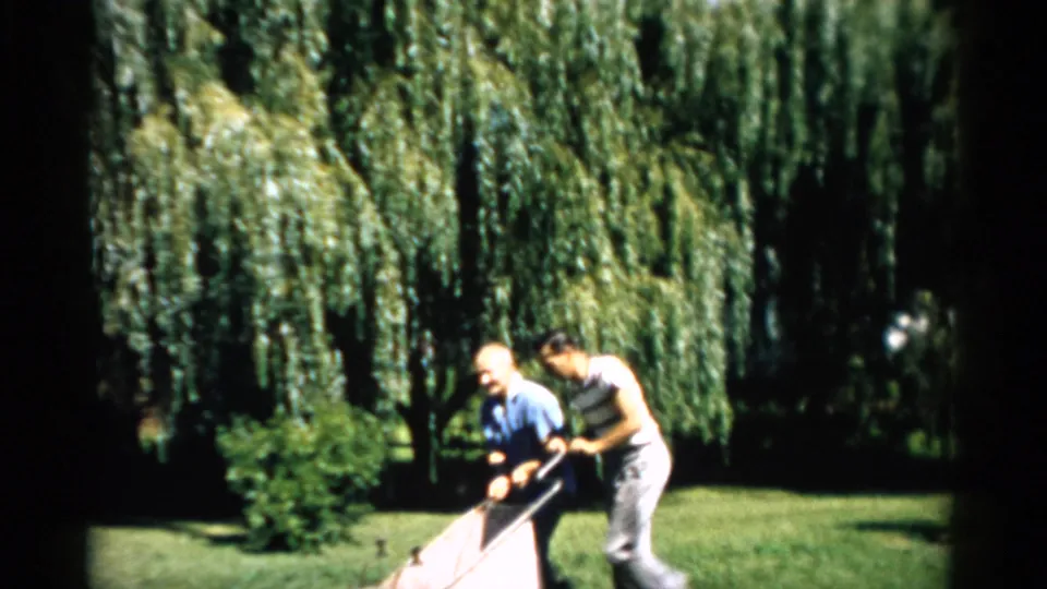 Two men push a vintage lawnmower together in a well-kept yard, Catskill, New York, circa 1957; the large weeping willow and bright summer light are prominent.